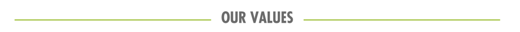 values-title